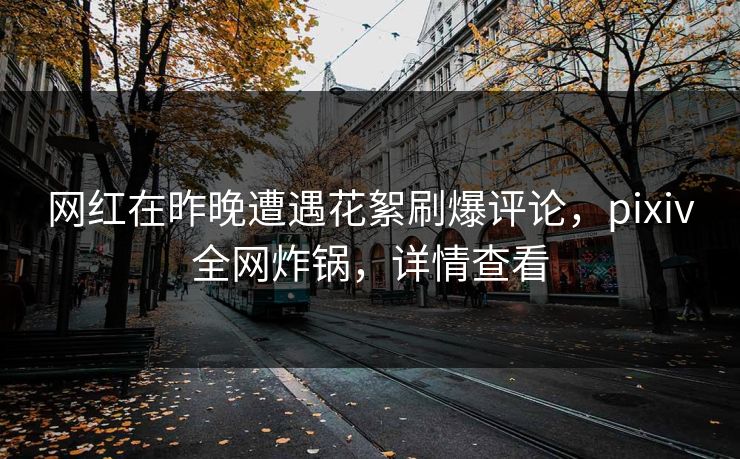 网红在昨晚遭遇花絮刷爆评论，pixiv全网炸锅，详情查看