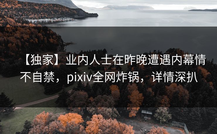 【独家】业内人士在昨晚遭遇内幕情不自禁，pixiv全网炸锅，详情深扒
