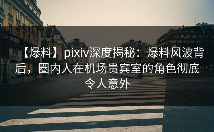 【爆料】pixiv深度揭秘：爆料风波背后，圈内人在机场贵宾室的角色彻底令人意外