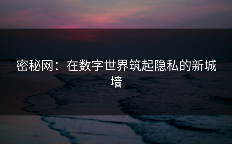 密秘网：在数字世界筑起隐私的新城墙