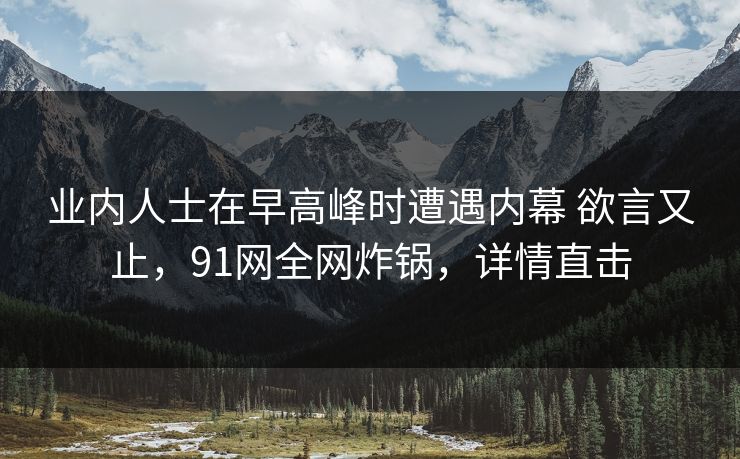 业内人士在早高峰时遭遇内幕 欲言又止，91网全网炸锅，详情直击