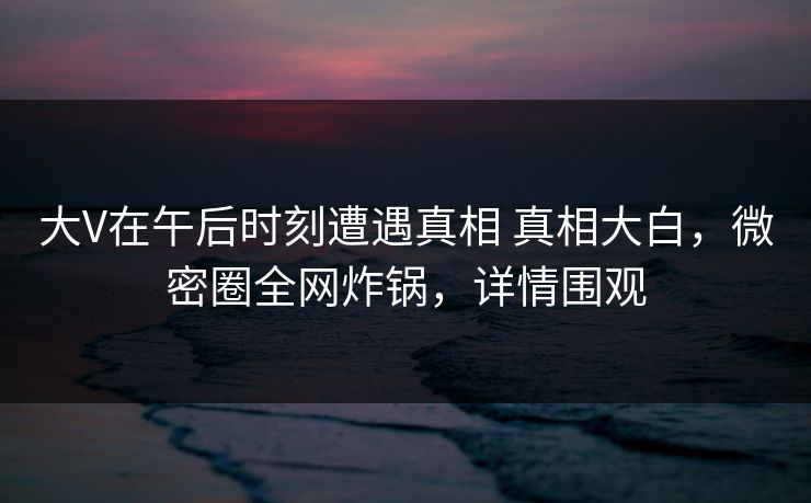 大V在午后时刻遭遇真相 真相大白，微密圈全网炸锅，详情围观