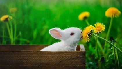 适合深夜自己一个人看的软件,陪你度过孤独时光