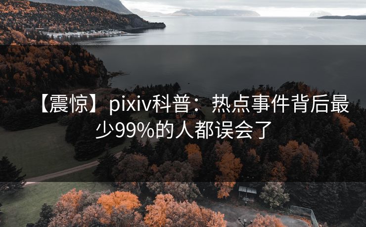 【震惊】pixiv科普:热点事件背后最少99%的人都误会了